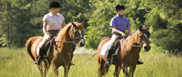 equitation a noirmoutier